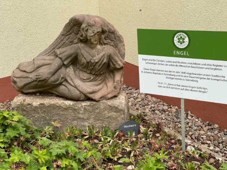 Bibelgarten Gym II